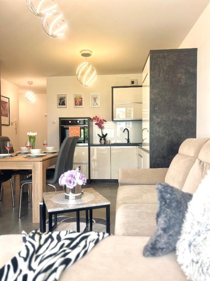 Downtownapartments Andy Air-Conditioned, Underground Parking Available Rzeszów Exterior foto